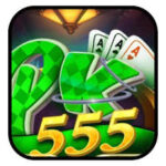 PK 555 game