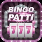 Bingo Patti Game