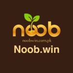 Noob Win Casino Game