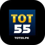 Tot55 Game