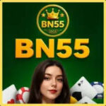 bn55 game