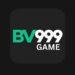 Bv999 game